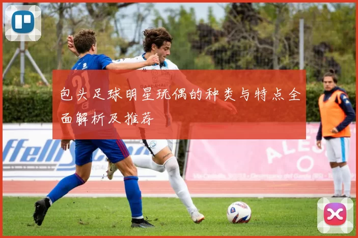 包头足球明星玩偶的种类与特点全面解析及推荐
