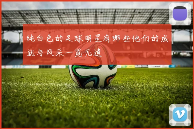 纯白色的足球明星有哪些他们的成就与风采一览无遗