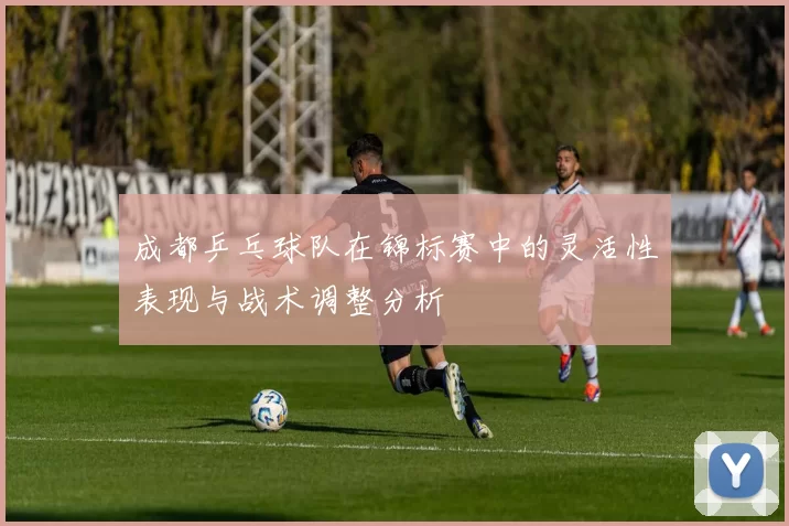 成都乒乓球队在锦标赛中的灵活性表现与战术调整分析