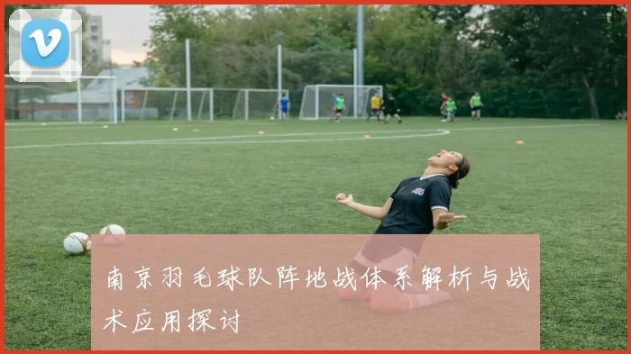 南京羽毛球队阵地战体系解析与战术应用探讨