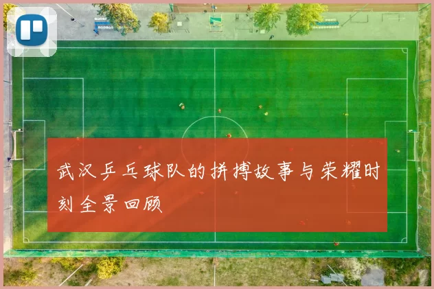 武汉乒乓球队的拼搏故事与荣耀时刻全景回顾