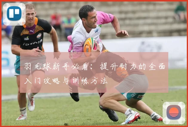 羽毛球新手必看：提升耐力的全面入门攻略与训练方法
