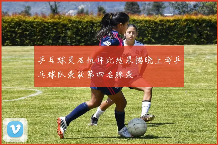 乒乓球灵活性评比结果揭晓上海乒乓球队荣获第四名殊荣