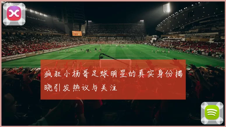 疯狂小杨哥足球明星的真实身份揭晓引发热议与关注