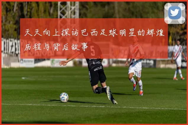天天向上探访巴西足球明星的辉煌历程与背后故事