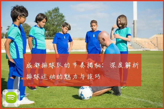 成都排球队的节奏揭秘：深度解析排球运动的魅力与技巧