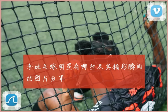 李姓足球明星有哪些及其精彩瞬间的图片分享