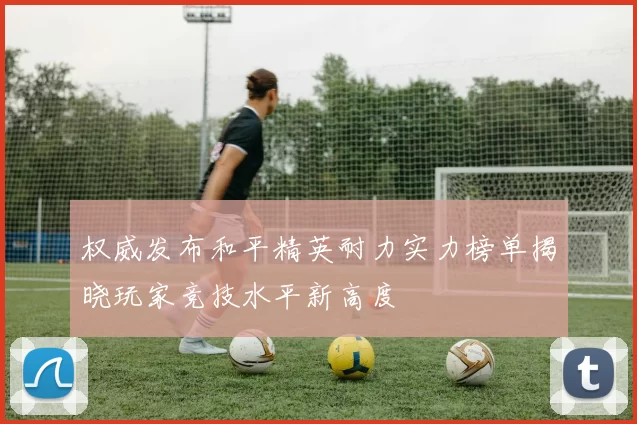 权威发布和平精英耐力实力榜单揭晓玩家竞技水平新高度