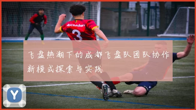 飞盘热潮下的成都飞盘队团队协作新模式探索与实践