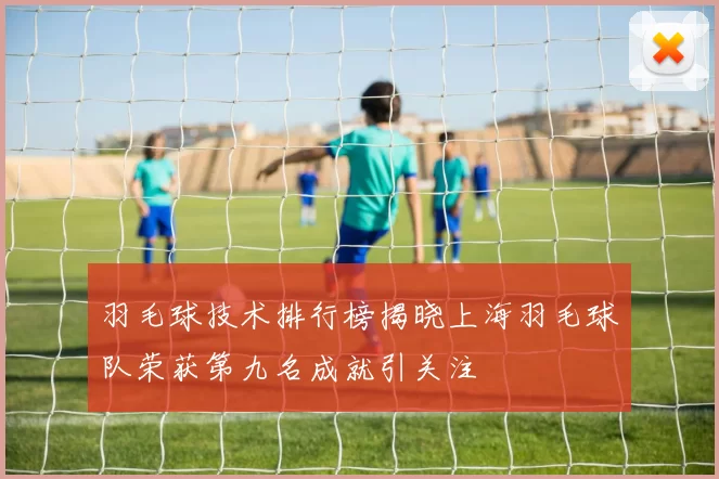 羽毛球技术排行榜揭晓上海羽毛球队荣获第九名成就引关注