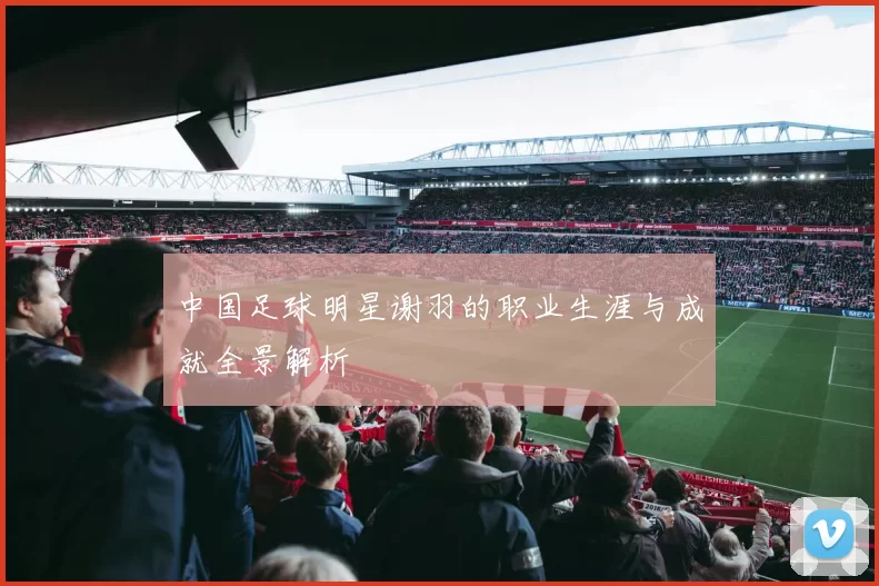 中国足球明星谢羽的职业生涯与成就全景解析