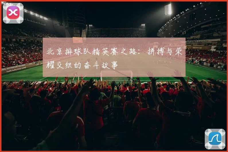 北京排球队精英赛之路：拼搏与荣耀交织的奋斗故事