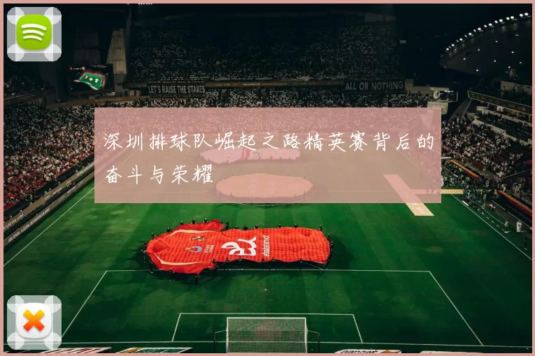 深圳排球队崛起之路精英赛背后的奋斗与荣耀