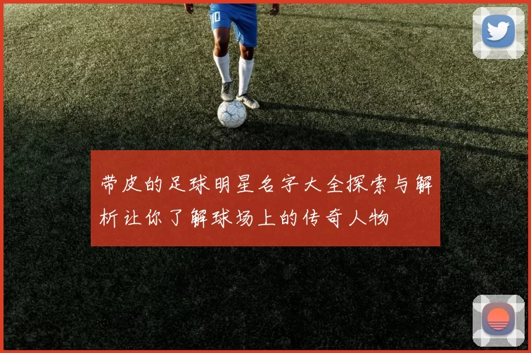 带皮的足球明星名字大全探索与解析让你了解球场上的传奇人物
