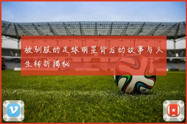 被驯服的足球明星背后的故事与人生转折揭秘