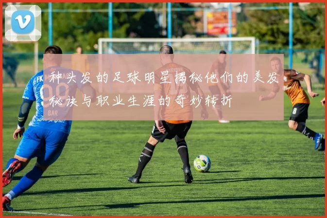 种头发的足球明星揭秘他们的美发秘诀与职业生涯的奇妙转折