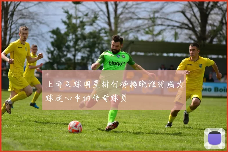 上海足球明星排行榜揭晓谁将成为球迷心中的传奇球员